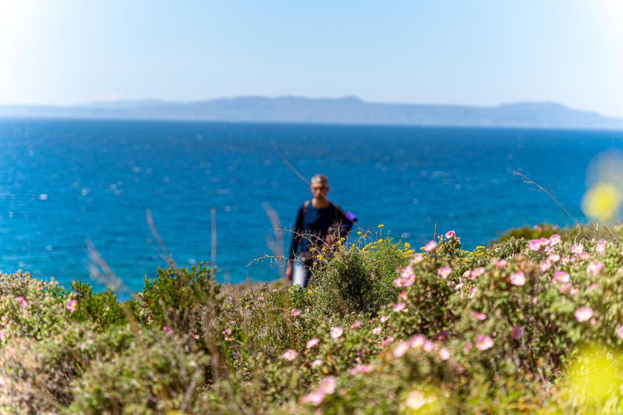 Отель Cretan Life Holidays Хорафакия Экстерьер фото